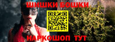 индика Бердск