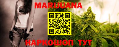 индика Бердск
