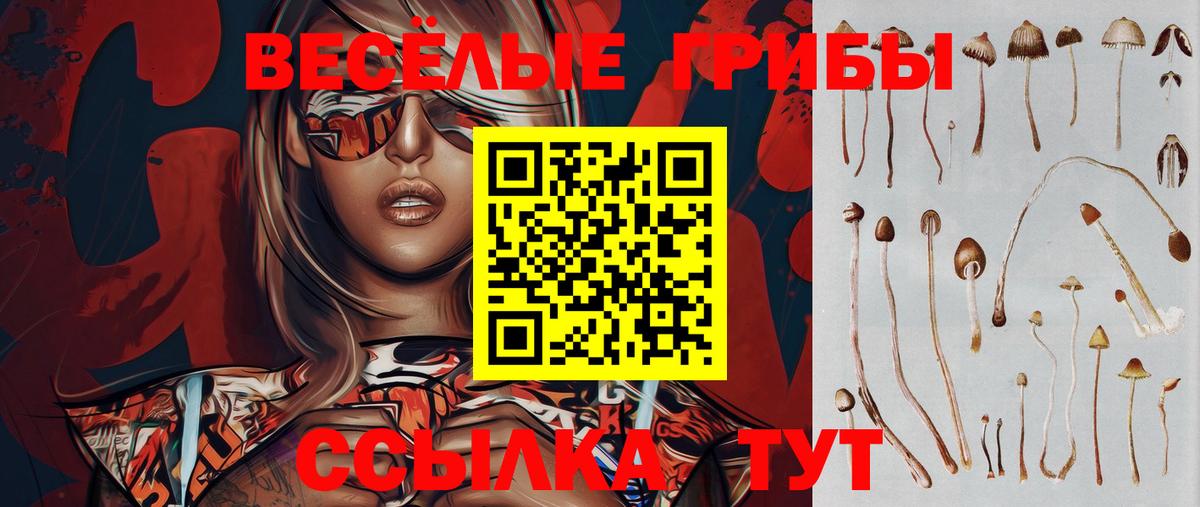 Псилоцибиновые грибы Cubensis  Вход с VPN  Котельники 